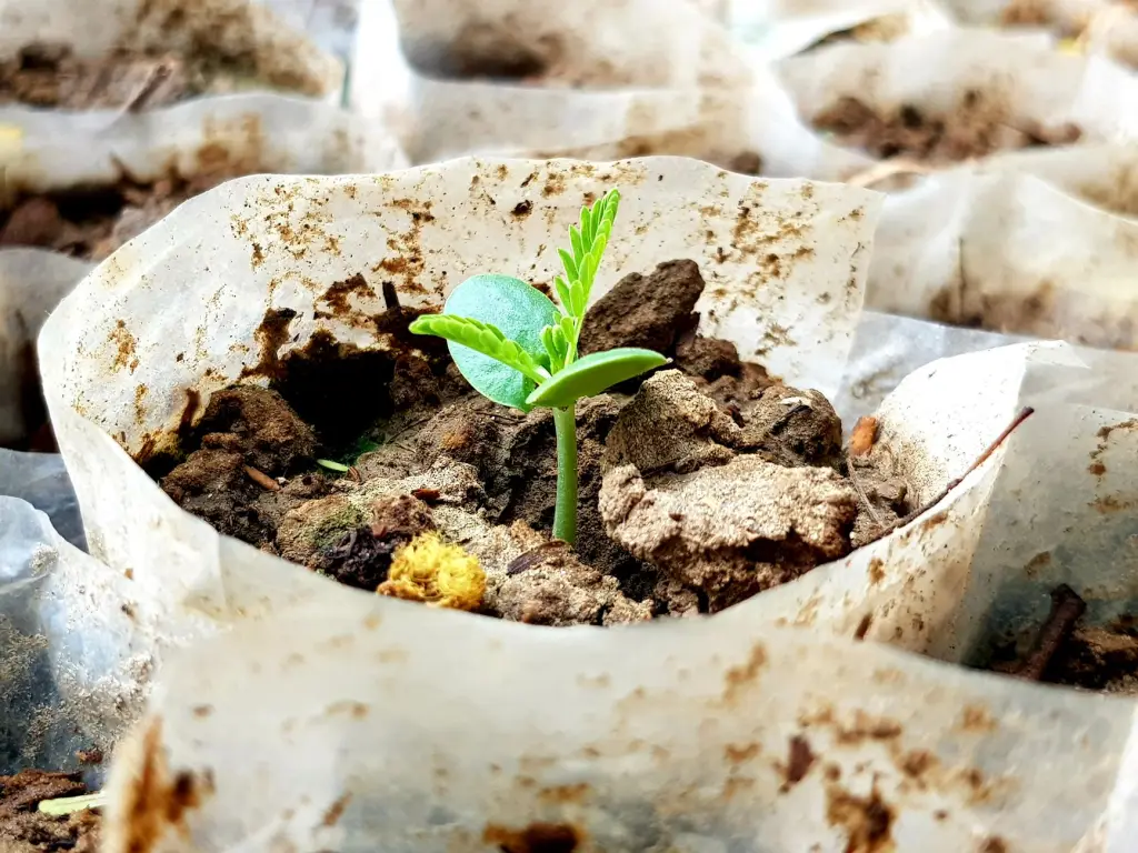 武汉零零信息数据脱敏光盘与加密软件在政务内网的应用实践