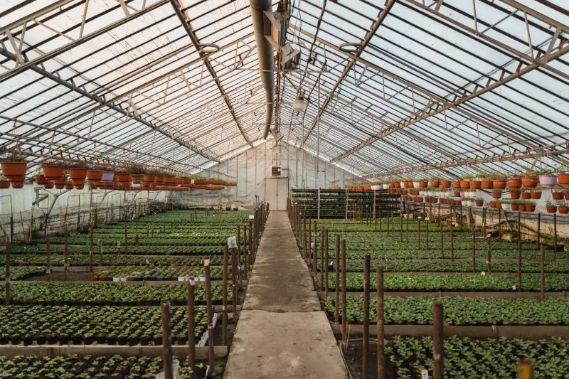 武汉数据脱敏软件光盘与加密软件一体化部署方案解析