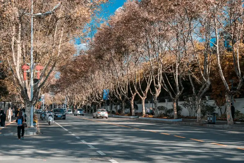 数据脱敏软件光盘与加密软件集成方案在企业数据安全中的应用